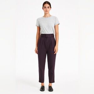 Anthropologie Cartonnier Pleated Trousers Crop Pants Burgundy Striped Womens 12